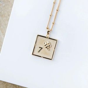 Edge of Ember - Kismet Necklace